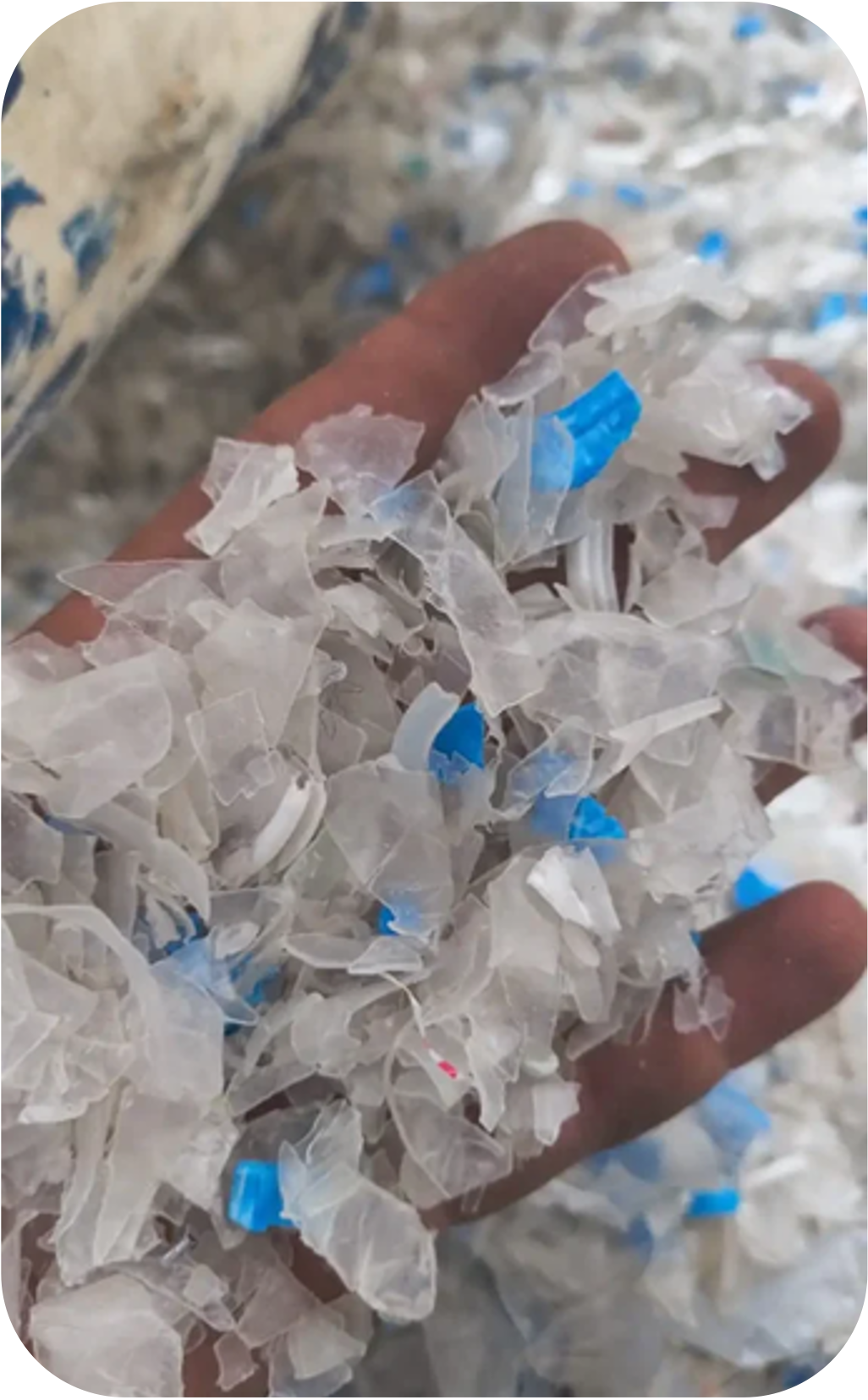 platicos reciclables